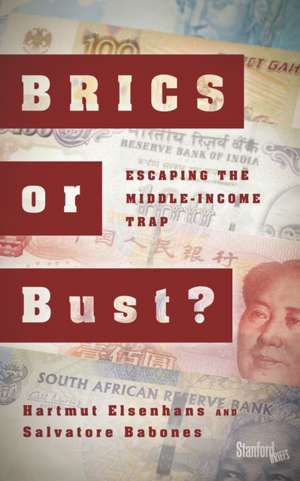 BRICS or Bust? de Hartmut Elsenhans
