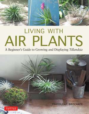 Living with Air Plants: A Beginner's Guide to Growing and Displaying Tillandsia de Yoshiharu Kashima (Protoleaf)