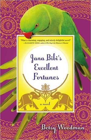 Jana Bibi's Excellent Fortunes de Betsy Woodman