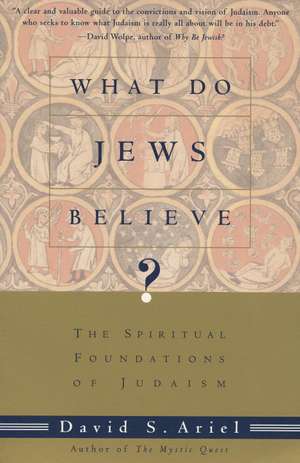 What Do Jews Believe?: The Spiritual Foundations of Judaism de David S. Ariel