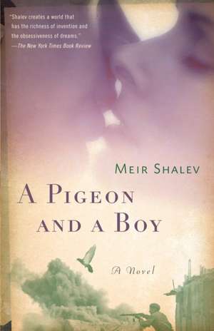 A Pigeon and a Boy de Meir Shalev