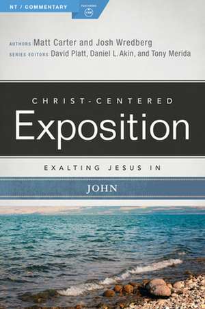 Exalting Jesus in John de Matt Carter