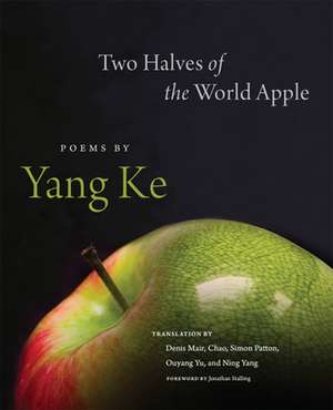 2 HALVES OF THE WORLD APPLE de Yang Ke