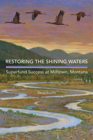 Restoring the Shining Waters de David Brooks