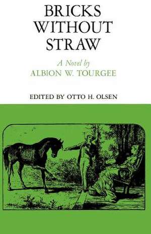 Bricks Without Straw de Albion W. Tourgee