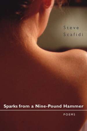 Sparks from a Nine-Pound Hammer de Steve Scafidi