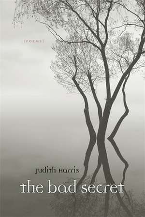 The Bad Secret: Poems de Judith Harris