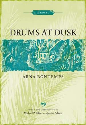 Drums at Dusk de Arna Wendell Bontemps