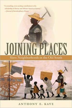 Joining Places: Slave Neighborhoods in the Old South de Anthony E. Kaye