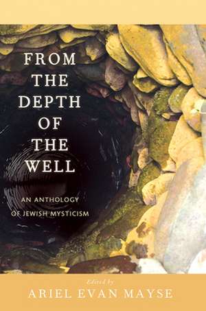 From the Depth of the Well: An Anthology of Jewish Mysticism de Arthur Green