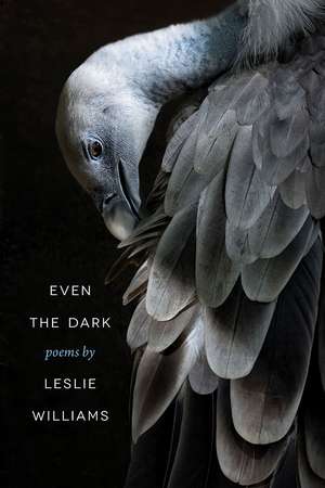 Even the Dark de Leslie Williams