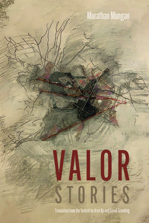 Valor: Stories de Murathan Mungan