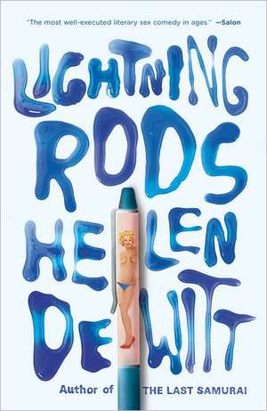 Lightning Rods de Helen DeWitt