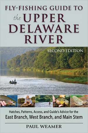 Fly-Fishing Guide to Upper Delaware River de Paul Weamer