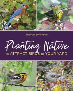 Planting Native to Attract Birds to Your Yard de Sharon Sorenson