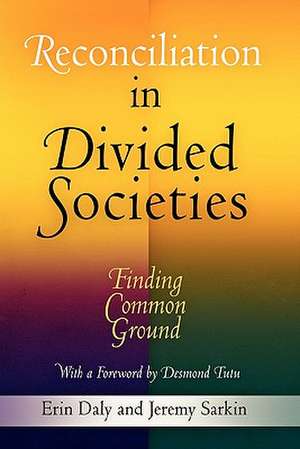 Reconciliation in Divided Societies – Finding Common Ground de Erin Daly