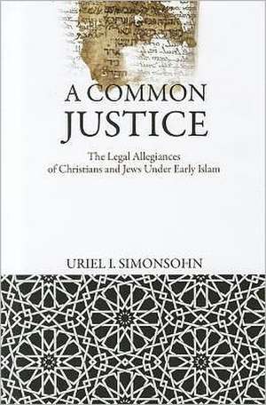 A Common Justice de Uriel I Simonsohn
