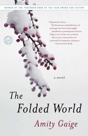 The Folded World de Amity Gaige