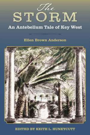 The Storm de Ellen Brown Anderson