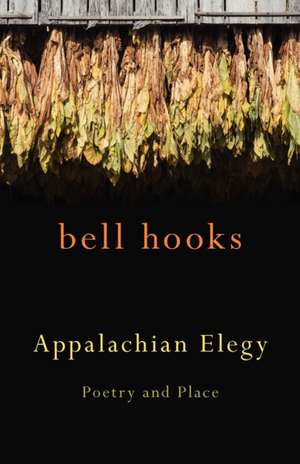 Appalachian Elegy de Bell Hooks