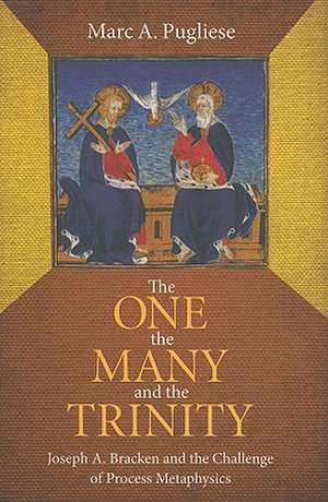 The One, the Many, and the Trinity: Joseph A. Bracken and the Challenge of Process Metaphysics de Marc A. Pugliese