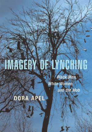 Imagery of Lynching: Black Men, White Women, and the Mob de Dora Apel