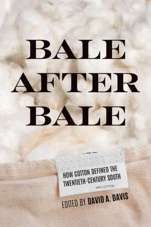 Bale After Bale de David A Davis