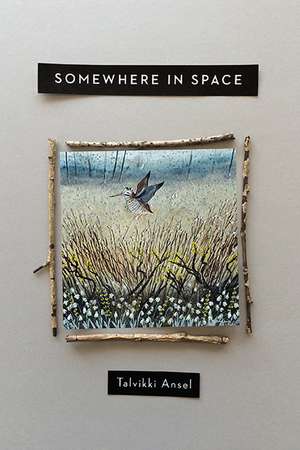 Somewhere in Space de Talvikki Ansel