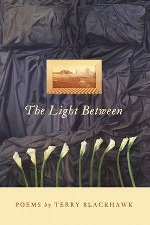 The Light Between de Terry Blackhawk