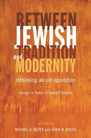 Between Jewish Tradition and Modernity: Essays in Honor of David Ellenson de Michael A Meyer