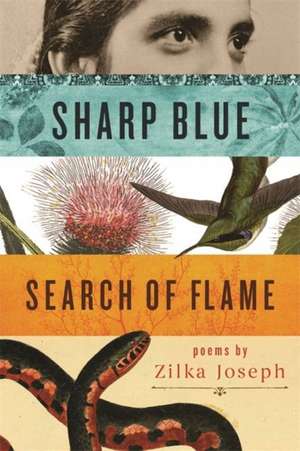 Sharp Blue Search of Flame de Zilka Joseph