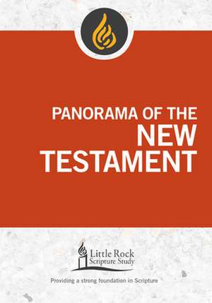 Panorama of the New Testament de Stephen J Binz