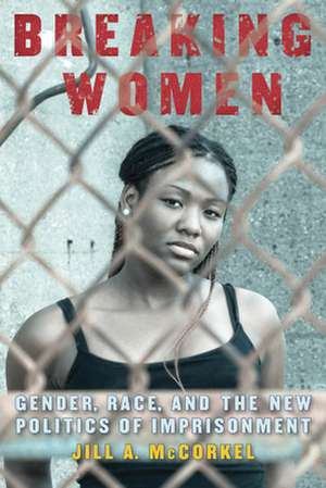 Breaking Women – Gender, Race, and the New Politics of Imprisonment de Jill A. Mccorkel