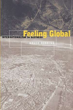 Feeling Global de Bruce Robbins