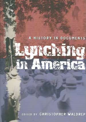 Lynching in America – A History in Documents de Christopher Waldrep