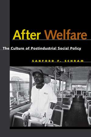 After Welfare de Sanford F. Schram