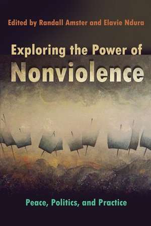 Exploring the Power of Nonviolence: Peace, Politics, and Practice de Michael N. Nagler