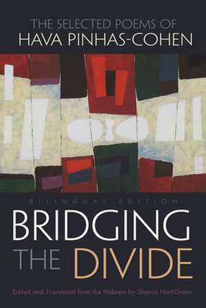 Bridging the Divide de Hava Pinhas-Cohen