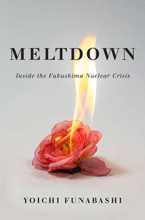 Meltdown de Yoichi Funabashi