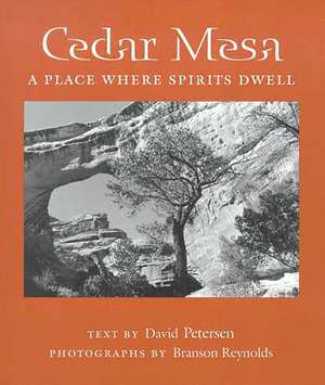 Cedar Mesa: A Place Where Spirits Dwell de David Petersen