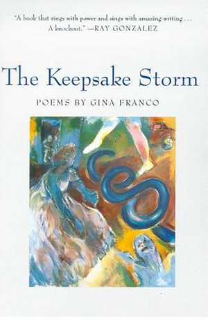 The Keepsake Storm de Gina Franco