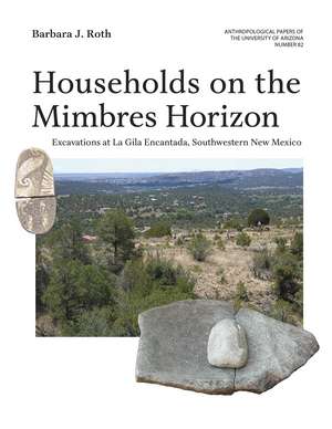 Households on the Mimbres Horizon: Excavations at La Gila Encantada, Southwestern New Mexico de Barbara J. Roth