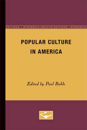 Popular Culture in America de Paul Buhle