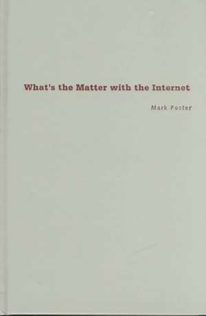 What's the Matter with the Internet? de Mark Poster