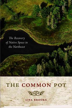 The Common Pot: The Recovery of Native Space in the Northeast de Lisa Brooks