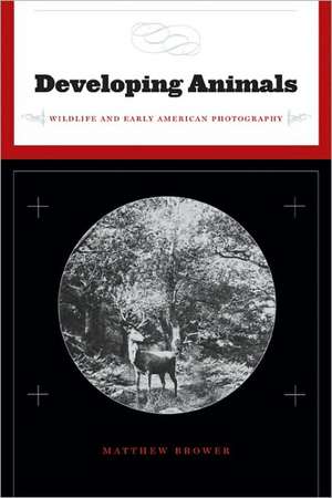 Developing Animals: Wildlife and Early American Photography de Matthew Brower