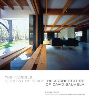 The Invisible Element of Place: The Architecture of David Salmela de Thomas Fisher