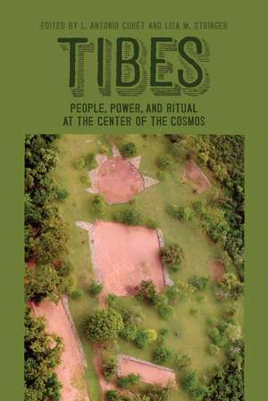 Tibes: People, Power, and Ritual at the Center of the Cosmos de L. Antonio Curet