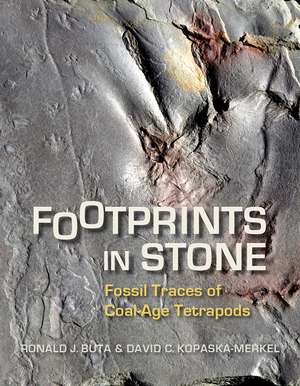 Footprints in Stone: Fossil Traces of Coal-Age Tetrapods de Ronald J. Buta .