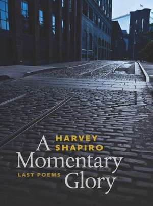 A Momentary Glory: Last Poems de Harvey Shapiro